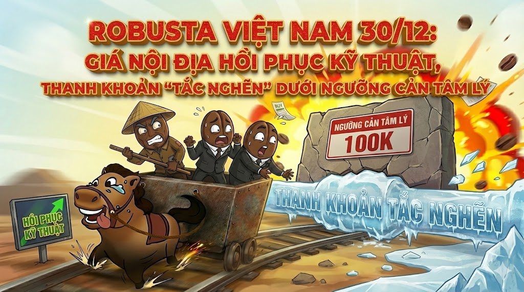 Robusta Việt Nam ngày 30/12: Giá nội địa hồi phục kỹ thuật, thanh khoản 